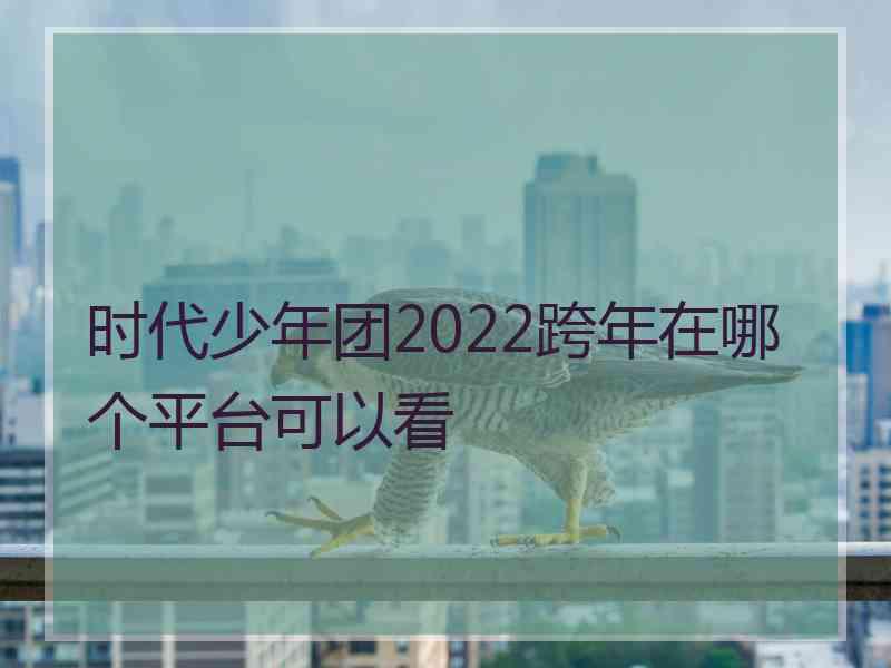 时代少年团2022跨年在哪个平台可以看