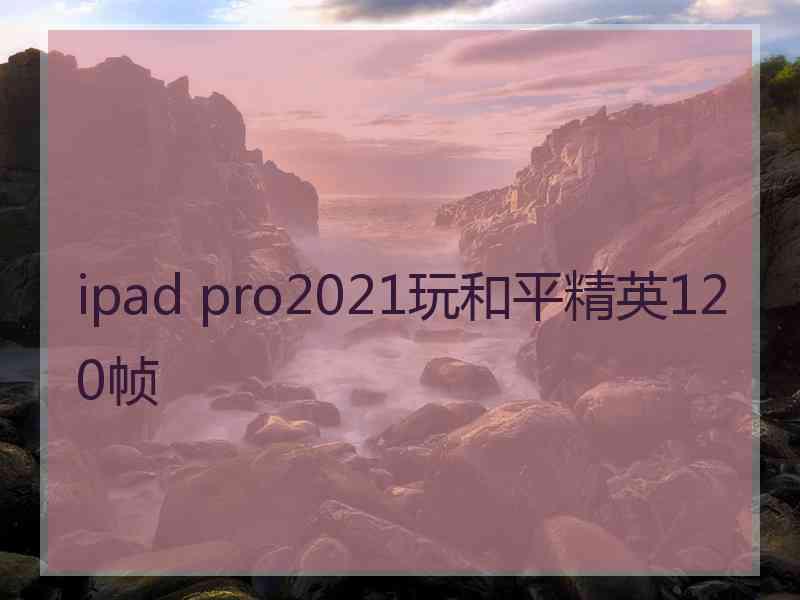 ipad pro2021玩和平精英120帧