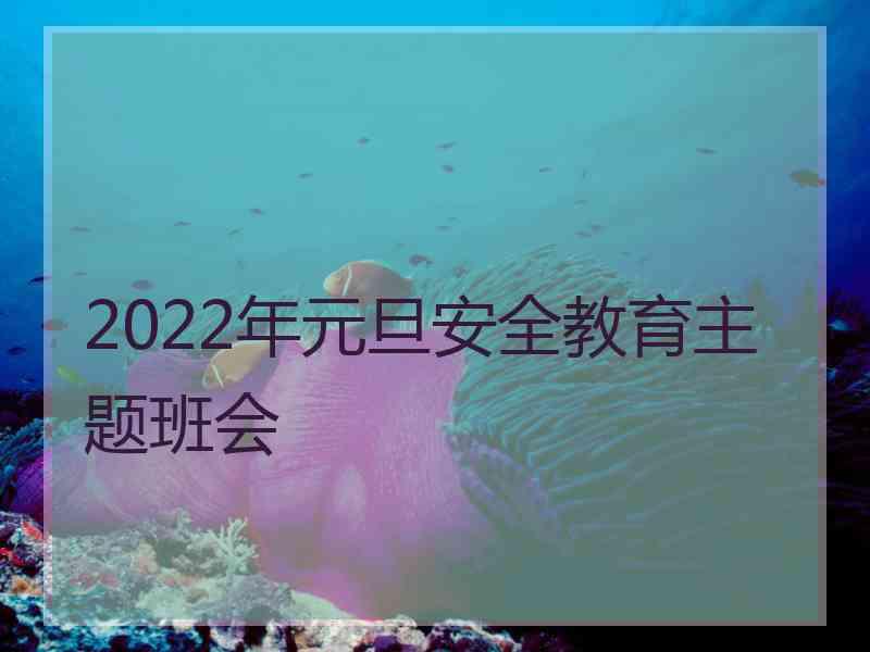 2022年元旦安全教育主题班会