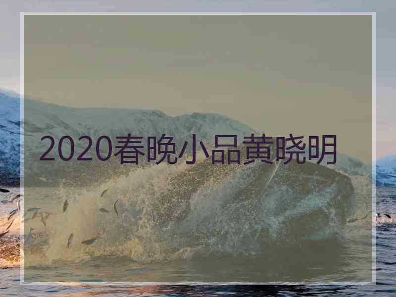 2020春晚小品黄晓明