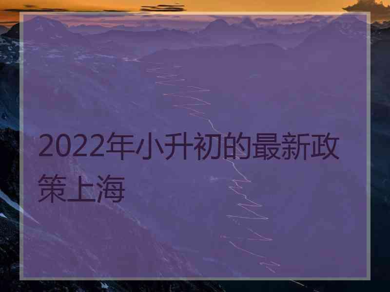 2022年小升初的最新政策上海