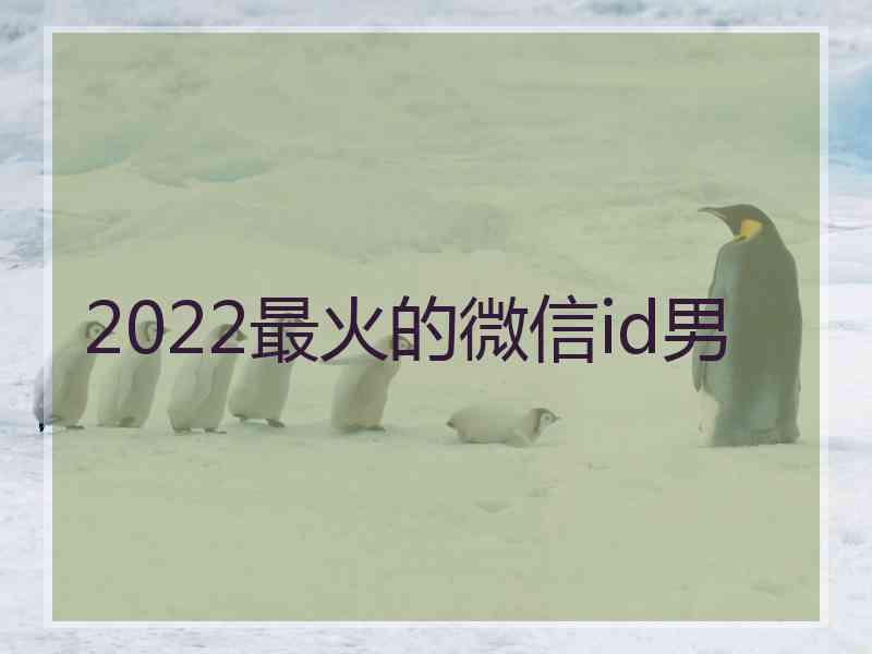 2022最火的微信id男