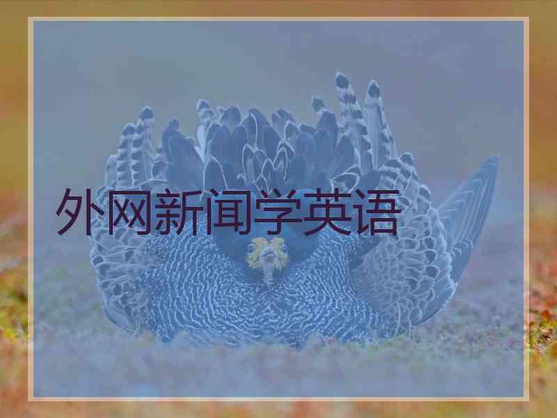 外网新闻学英语