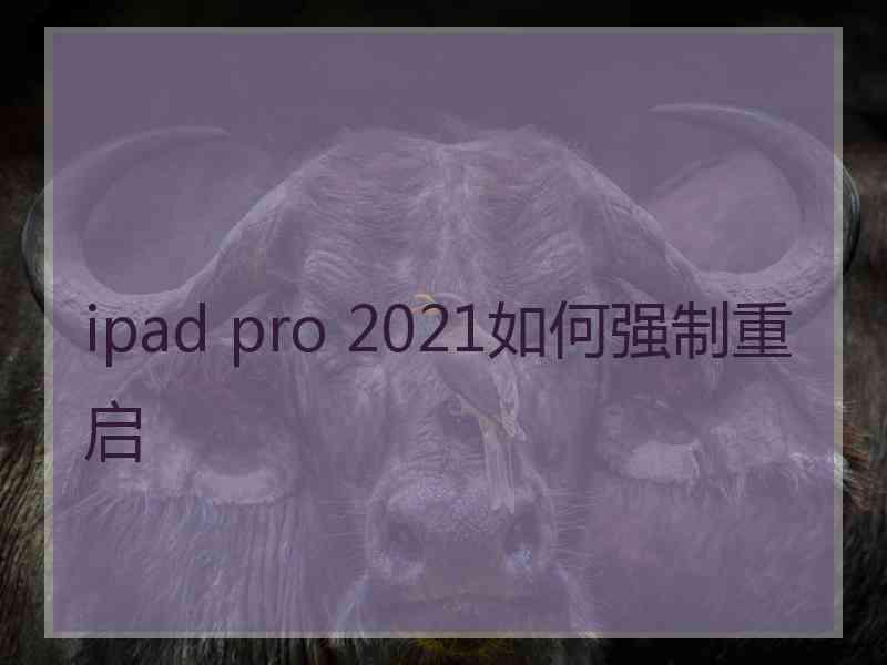 ipad pro 2021如何强制重启