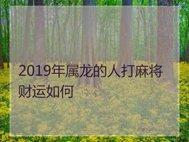 2019年属龙的人打麻将财运如何