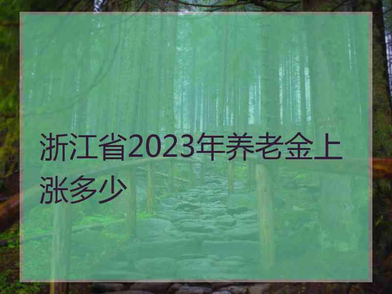 浙江省2023年养老金上涨多少