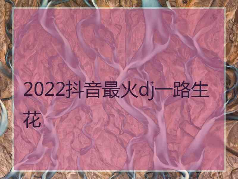 2022抖音最火dj一路生花