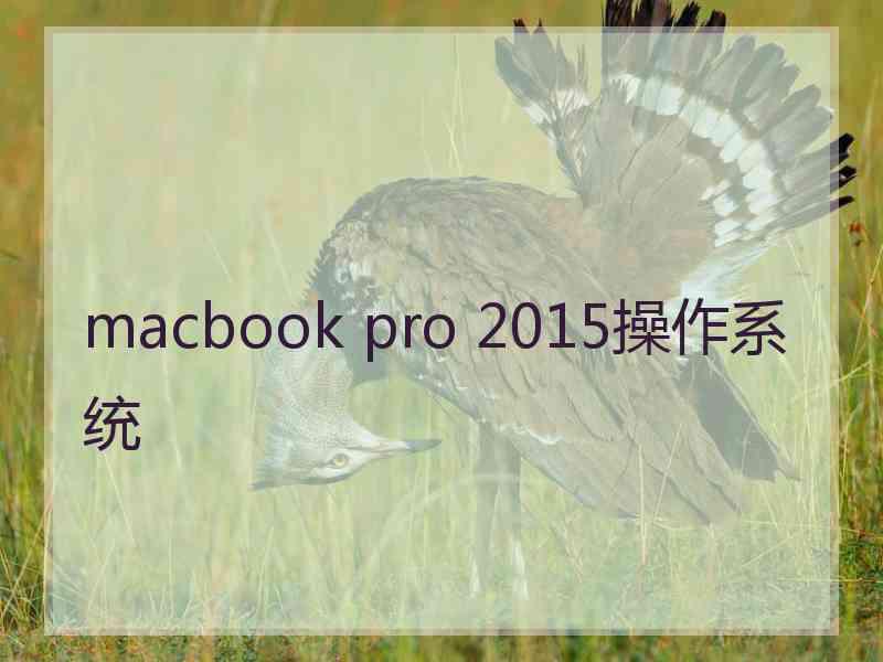 macbook pro 2015操作系统