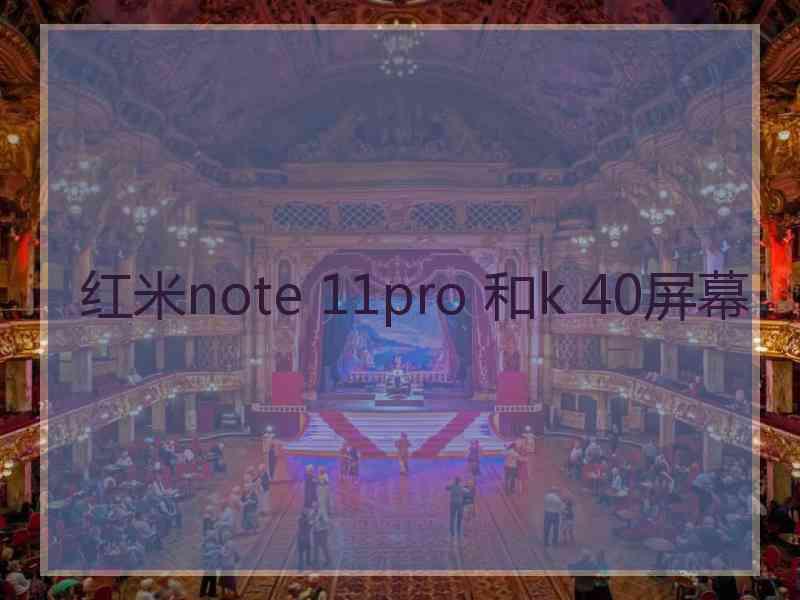 红米note 11pro 和k 40屏幕