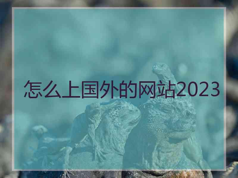 怎么上国外的网站2023