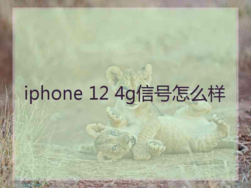 iphone 12 4g信号怎么样