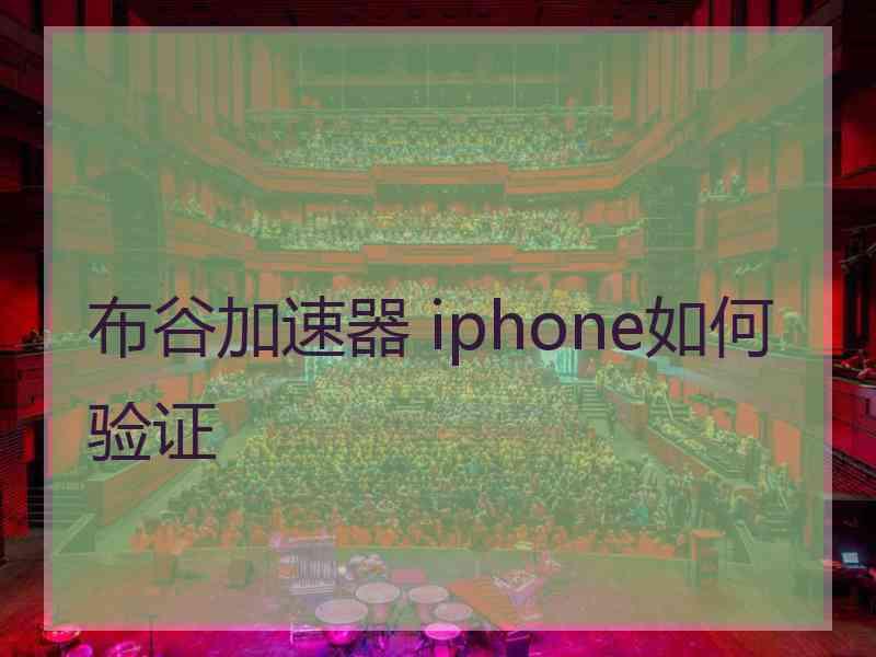 布谷加速器 iphone如何验证