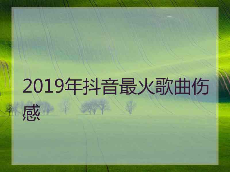 2019年抖音最火歌曲伤感