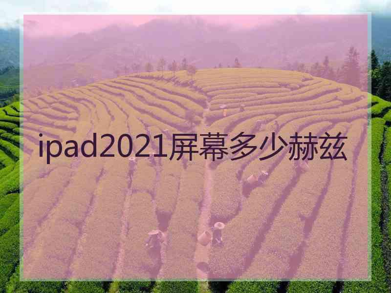 ipad2021屏幕多少赫兹