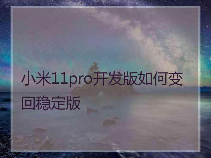 小米11pro开发版如何变回稳定版