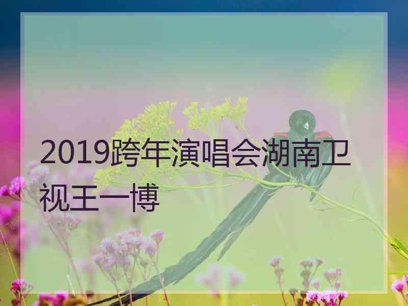 2019跨年演唱会湖南卫视王一博