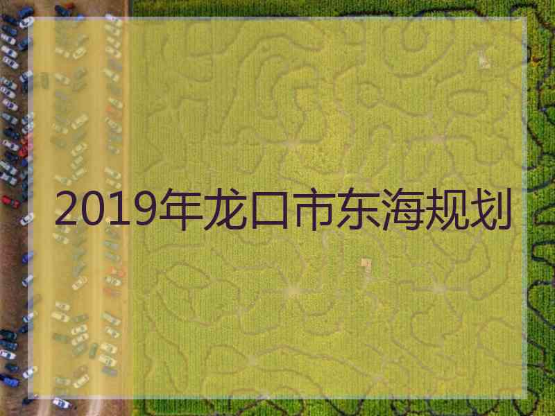 2019年龙口市东海规划