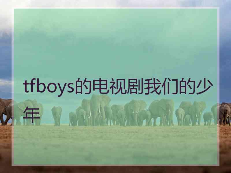 tfboys的电视剧我们的少年