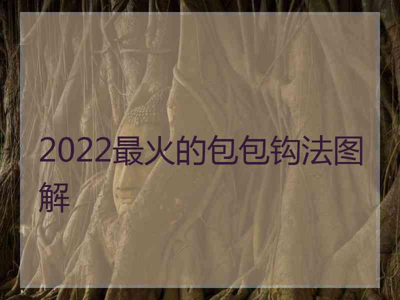 2022最火的包包钩法图解