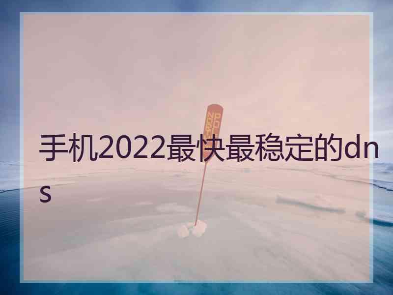 手机2022最快最稳定的dns