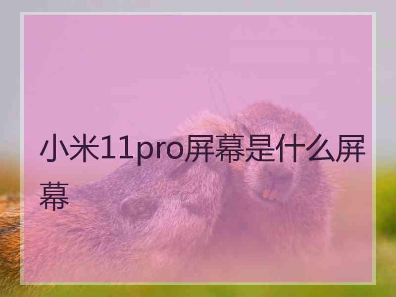 小米11pro屏幕是什么屏幕