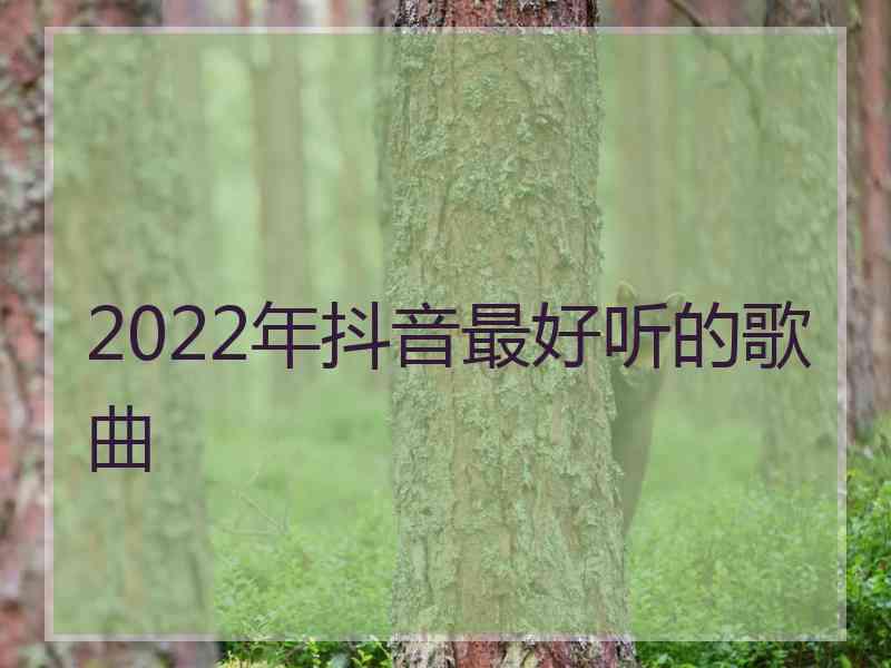 2022年抖音最好听的歌曲