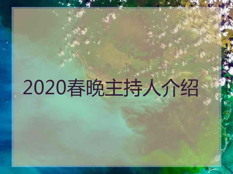 2020春晚主持人介绍