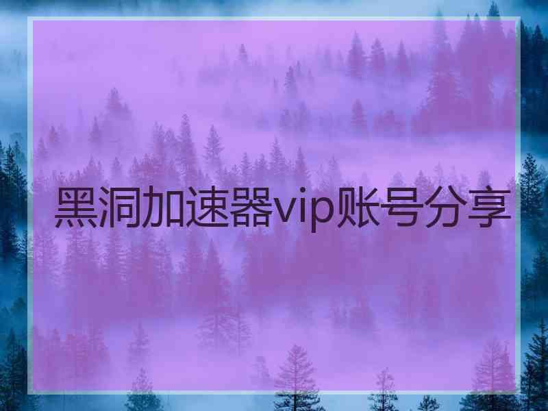 黑洞加速器vip账号分享