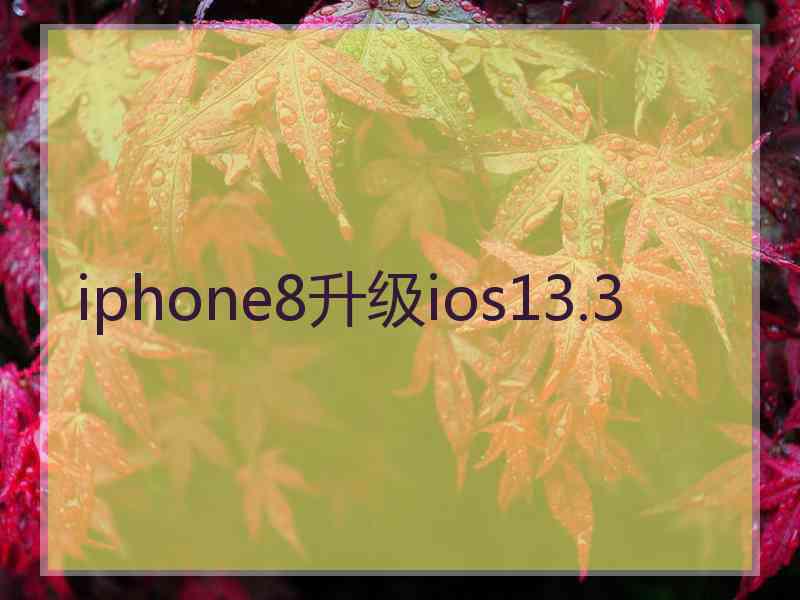 iphone8升级ios13.3