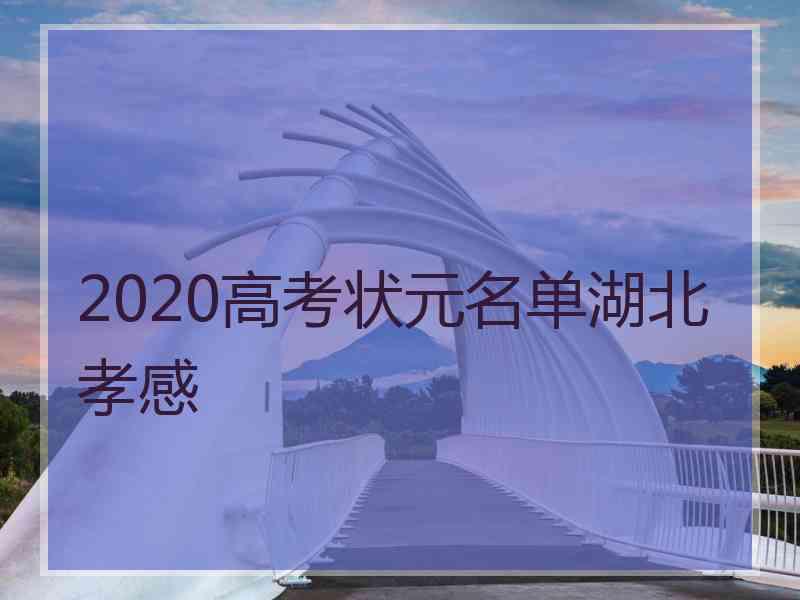 2020高考状元名单湖北孝感