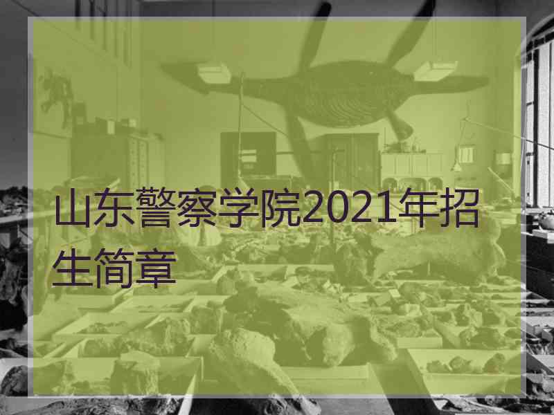 山东警察学院2021年招生简章