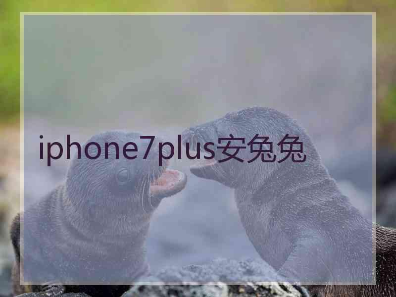 iphone7plus安兔兔