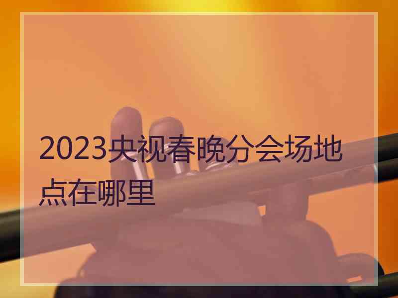 2023央视春晚分会场地点在哪里