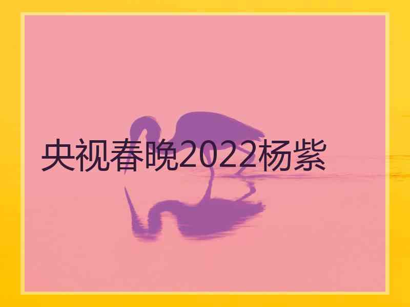 央视春晚2022杨紫