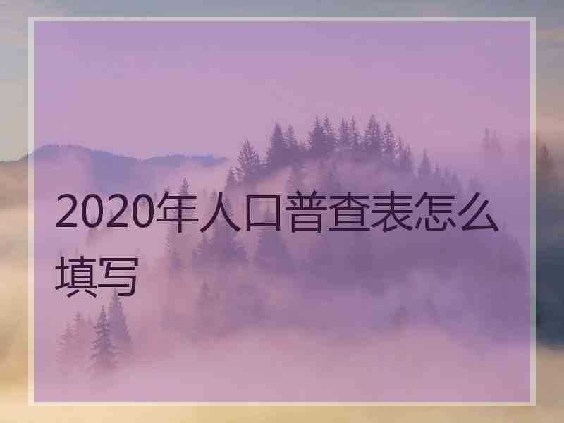 2020年人口普查表怎么填写