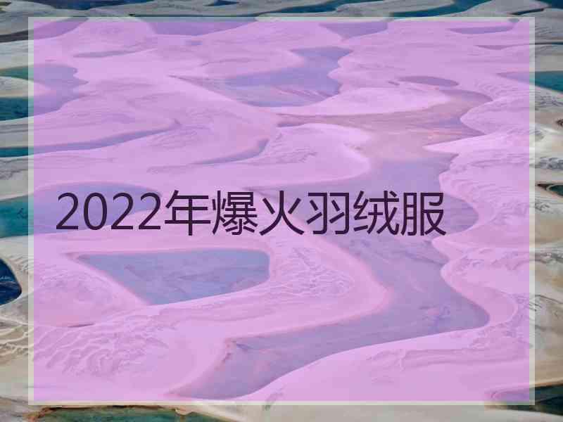 2022年爆火羽绒服