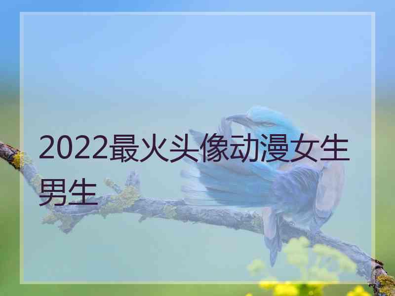 2022最火头像动漫女生男生