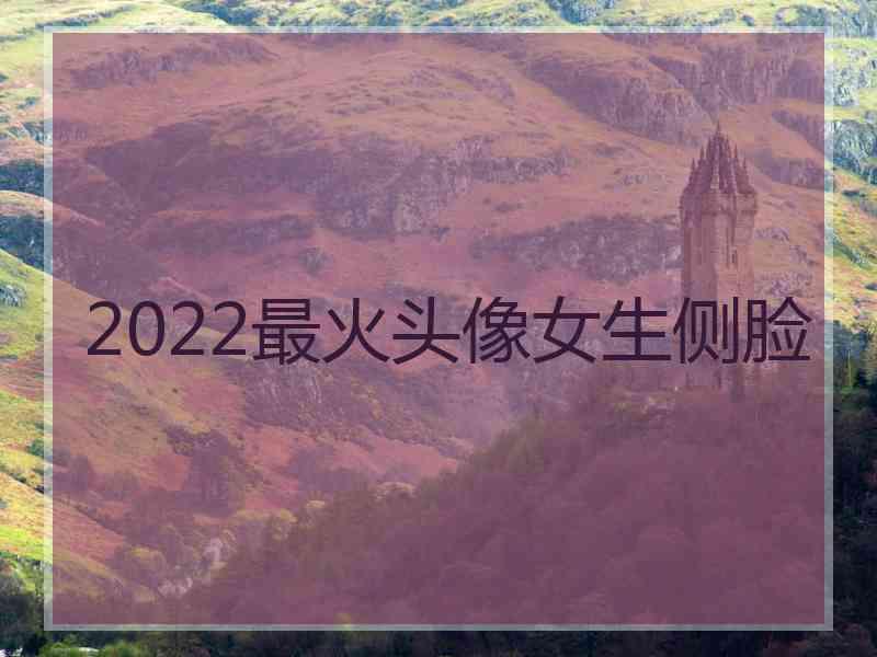 2022最火头像女生侧脸