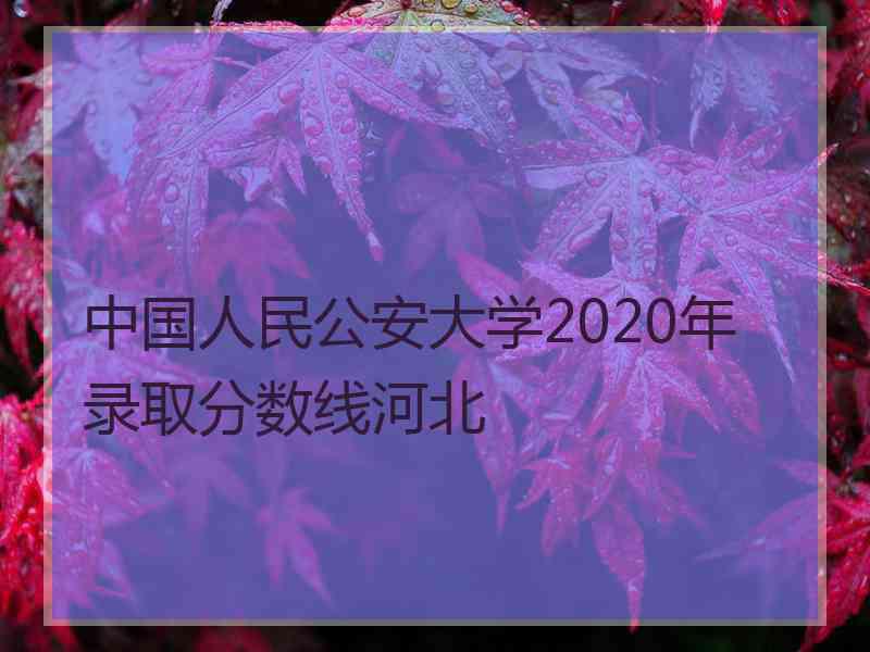 中国人民公安大学2020年录取分数线河北