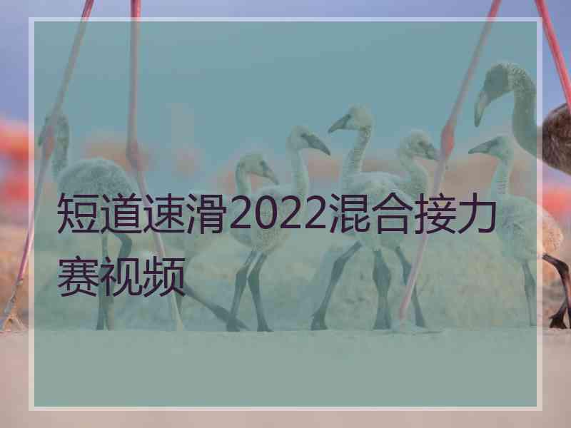 短道速滑2022混合接力赛视频