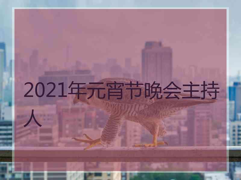 2021年元宵节晚会主持人