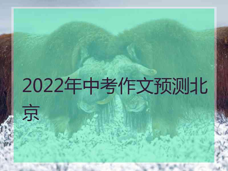 2022年中考作文预测北京