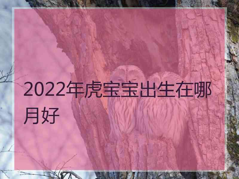 2022年虎宝宝出生在哪月好