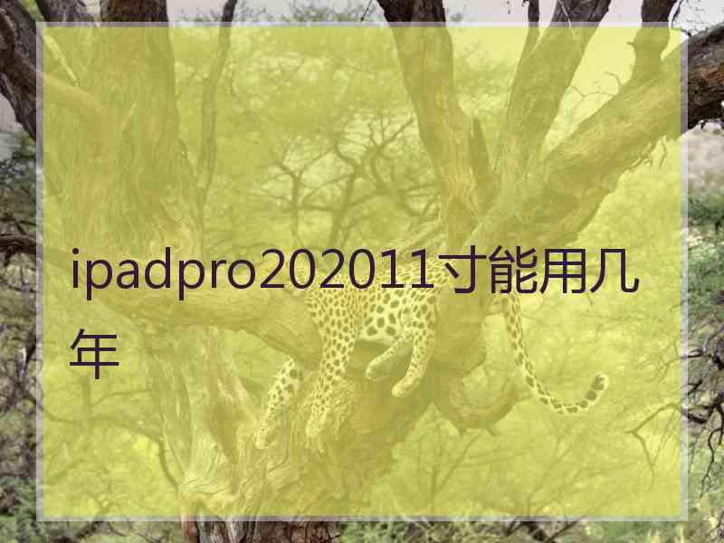 ipadpro202011寸能用几年