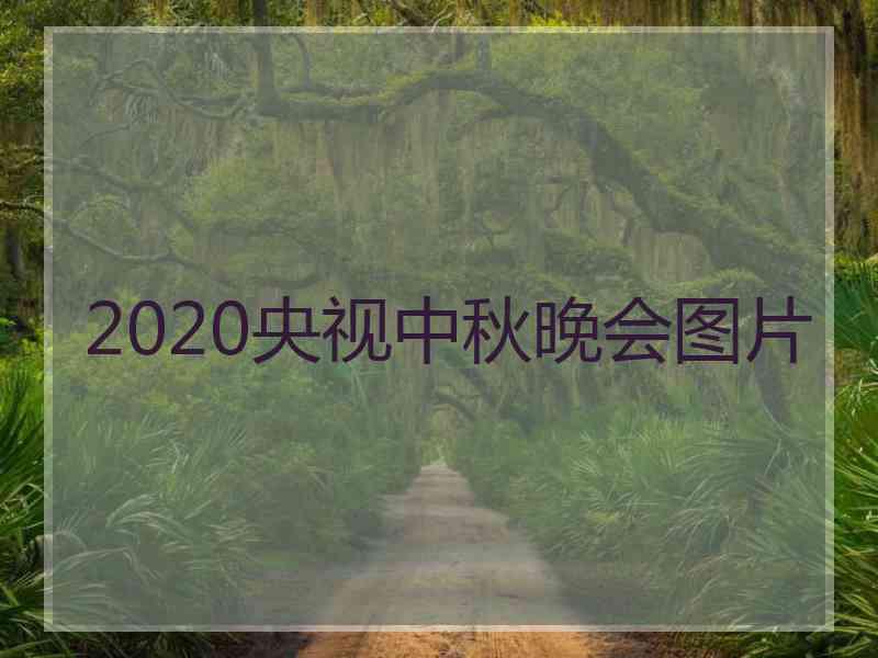 2020央视中秋晚会图片