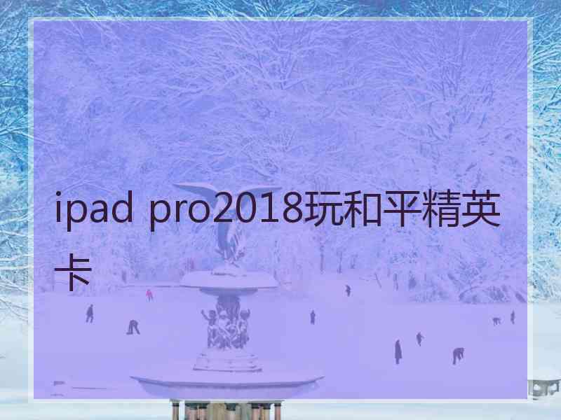 ipad pro2018玩和平精英卡