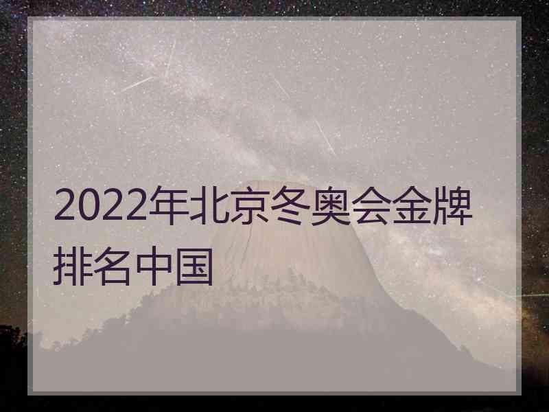 2022年北京冬奥会金牌排名中国