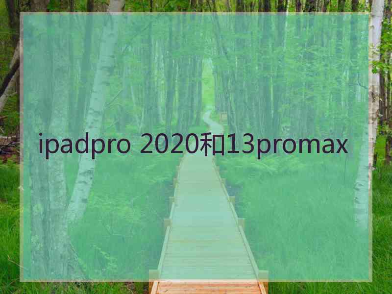 ipadpro 2020和13promax