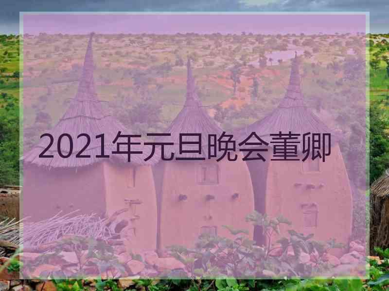 2021年元旦晚会董卿