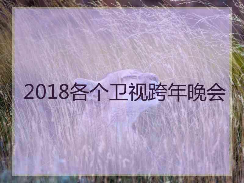 2018各个卫视跨年晚会